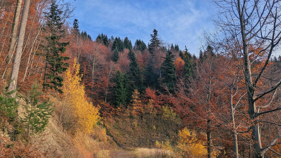 hiker on polish mountain trail